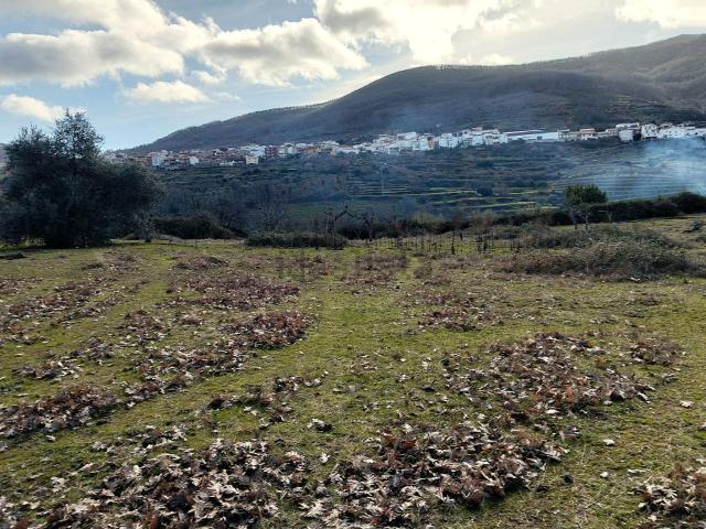 Terreno, Casas del Castañar