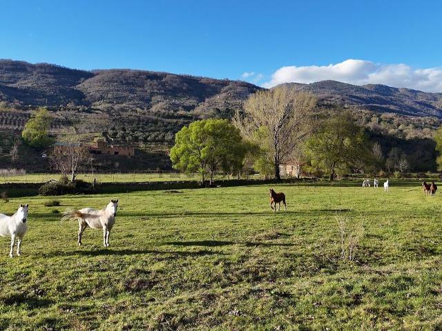 Terreno, Casas del Castañar