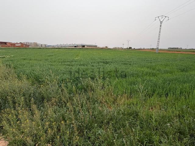 Terreno, Casas Ibañez