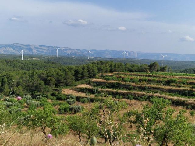 Terreno, Caseres