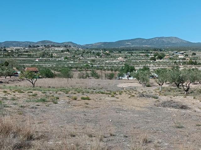 Terreno, Castalla