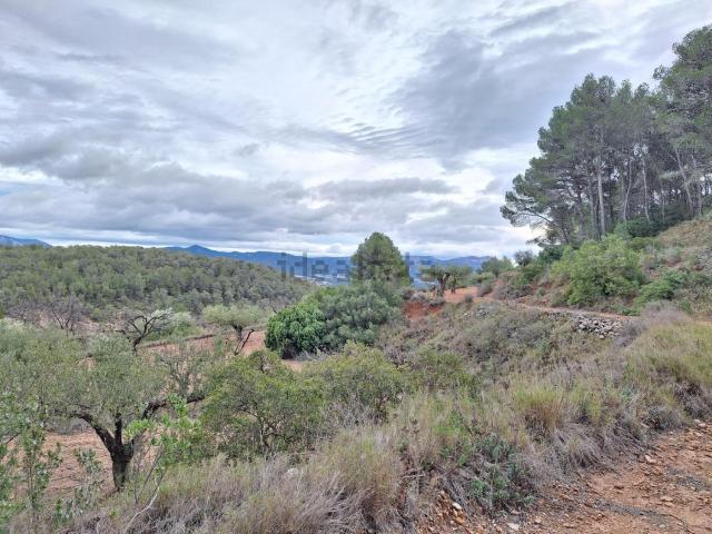 Terreno, Castalla