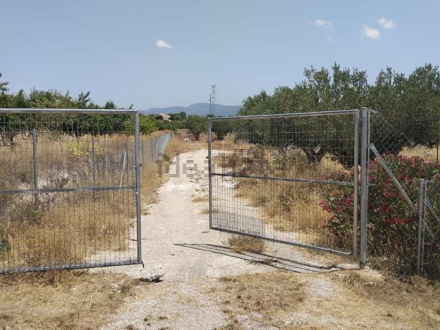 Terreno, Castalla