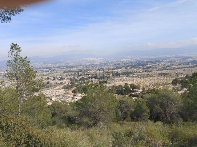 Terreno, Castalla