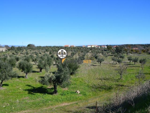 Terreno, Castelo Branco