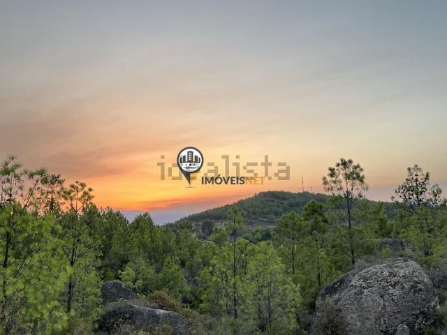 Terreno, Castelo Branco
