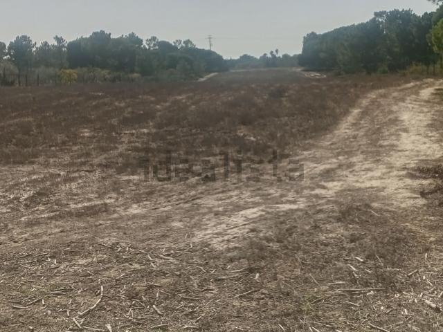 Terreno, Castelo Sesimbra