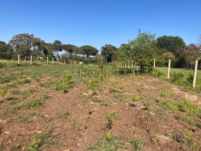 Terreno, Castelo Sesimbra