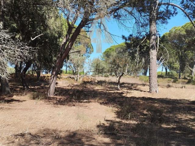 Terreno, Castelo Sesimbra