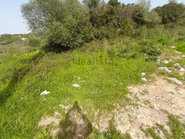 Terreno, Castelo Sesimbra