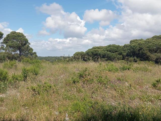 Terreno, Castelo Sesimbra