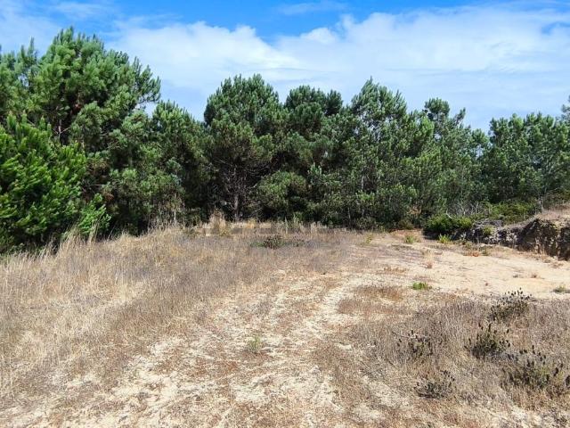 Terreno, Castelo Sesimbra