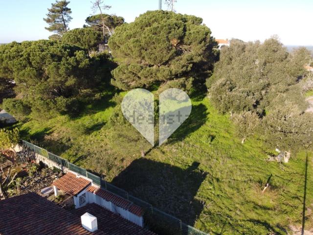 Terreno, Castelo Sesimbra