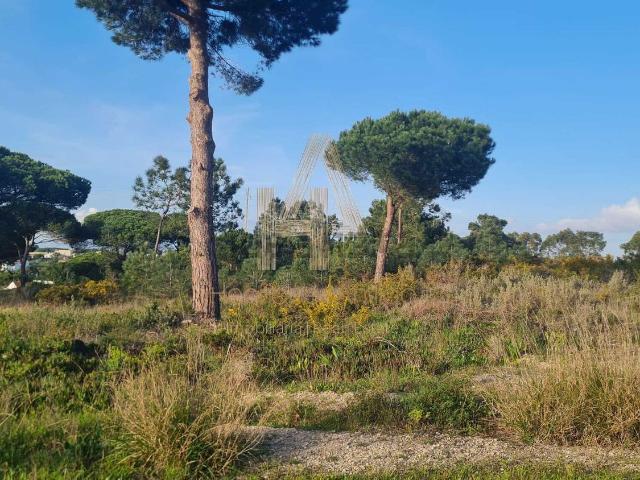 Terreno, Castelo Sesimbra