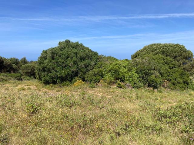 Terreno, Castelo Sesimbra