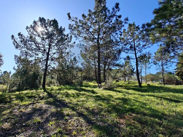 Terreno, Castelo Sesimbra