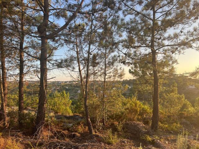 Terreno, Castelo Sesimbra