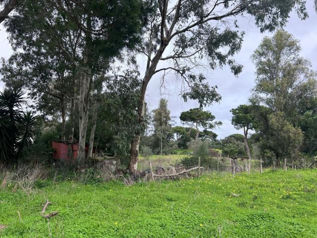 Terreno, Castelo Sesimbra