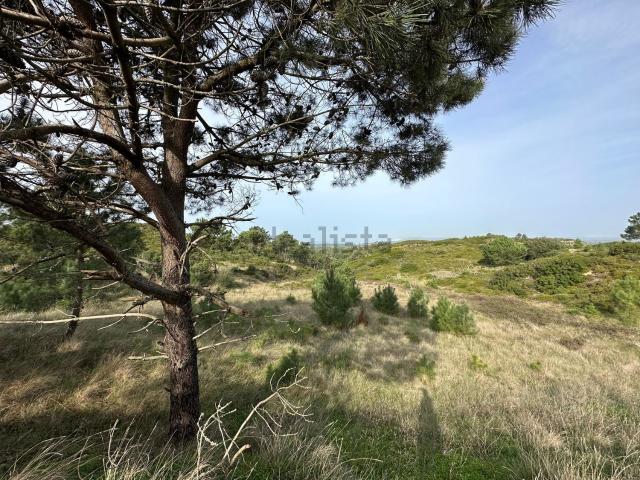 Terreno, Castelo Sesimbra