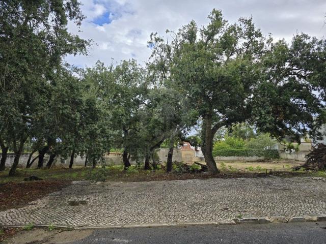 Terreno, Castelo Sesimbra