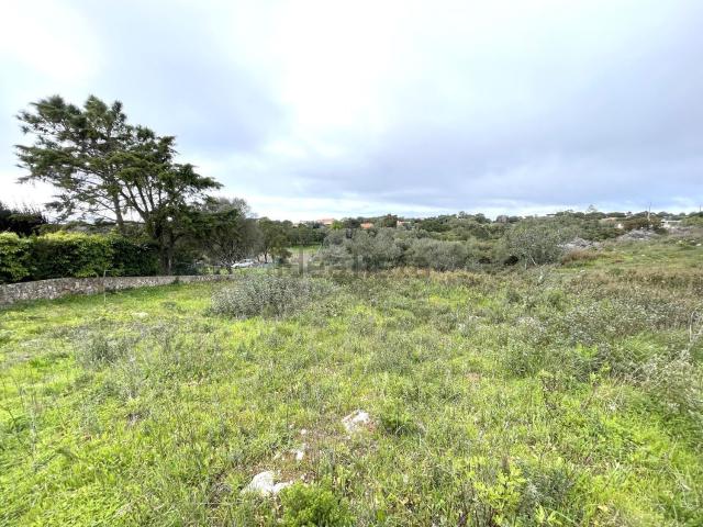 Terreno, Castelo Sesimbra