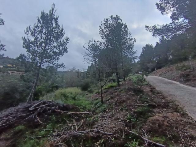 Terreno, Castellvell del Camp