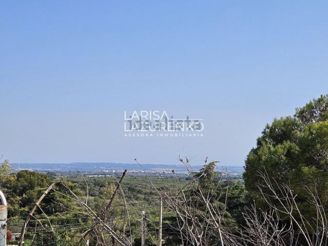 Terreno, Castellvell del Camp