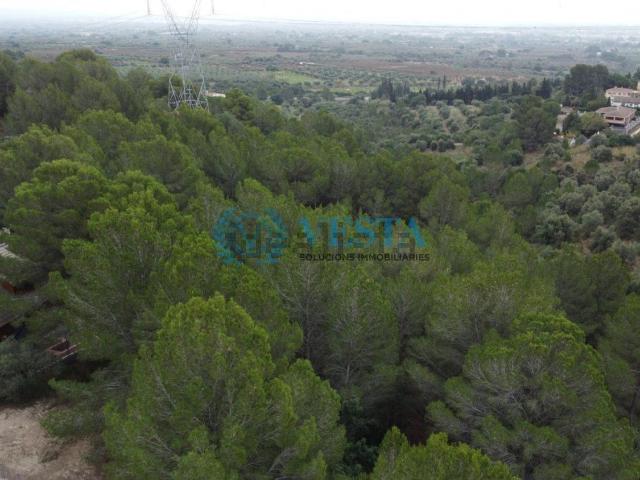 Terreno, Castellvell del Camp