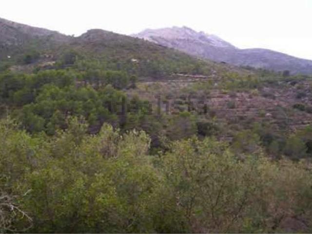 Terreno, Castell de Castells