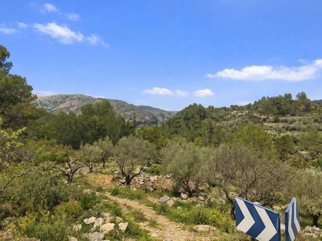 Terreno, Castell de Castells