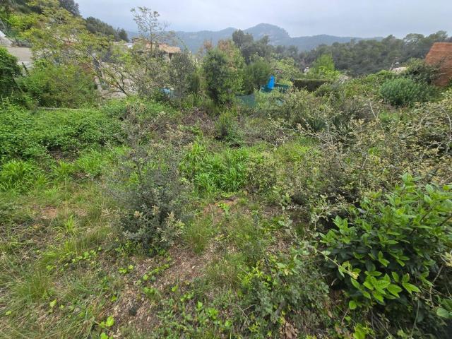 Terreno, Castellar del Vallès
