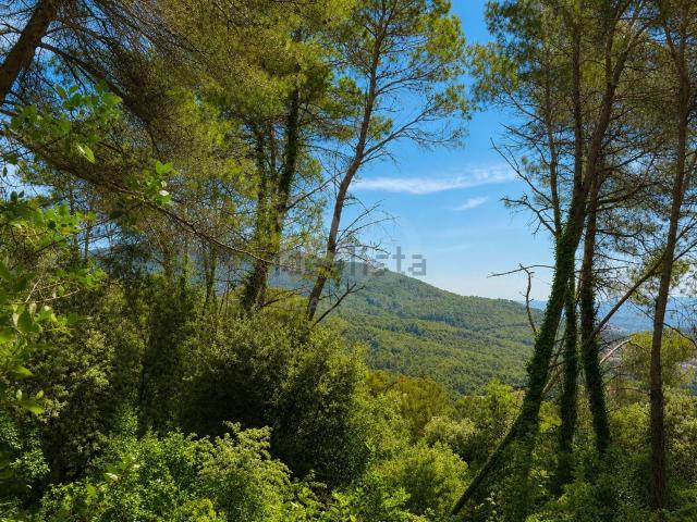 Terreno, Castellar del Vallès