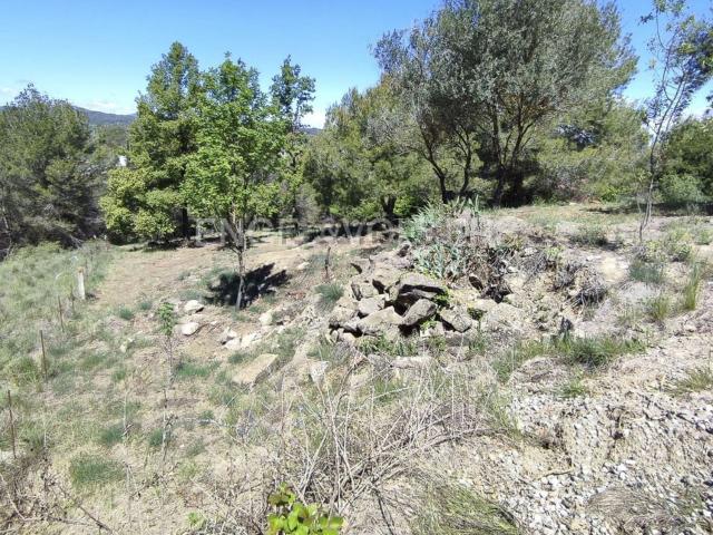 Terreno, Castellbell i el Vilar