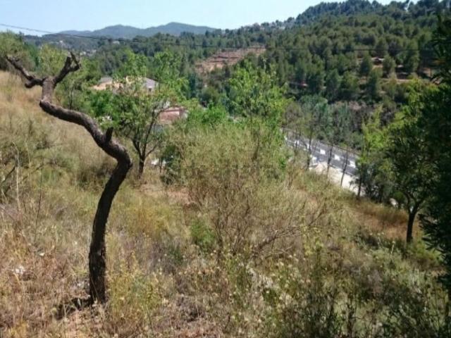 Terreno, Castellbell i el Vilar