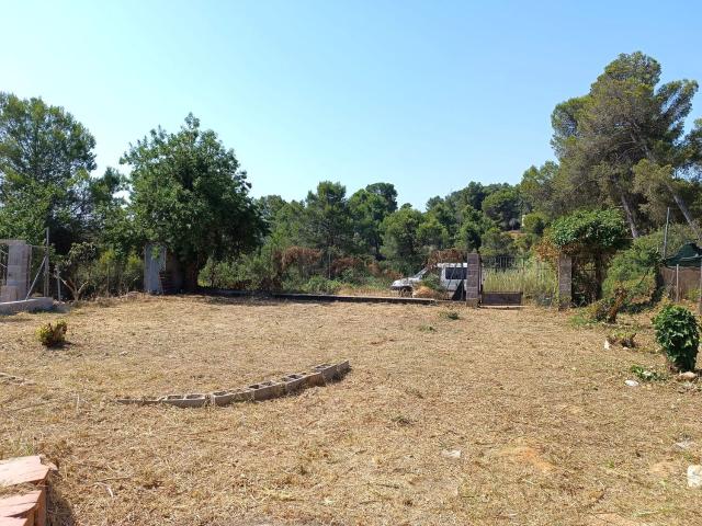 Terreno, Castellbisbal