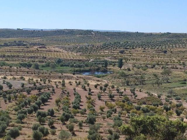 Terreno, Castelldans