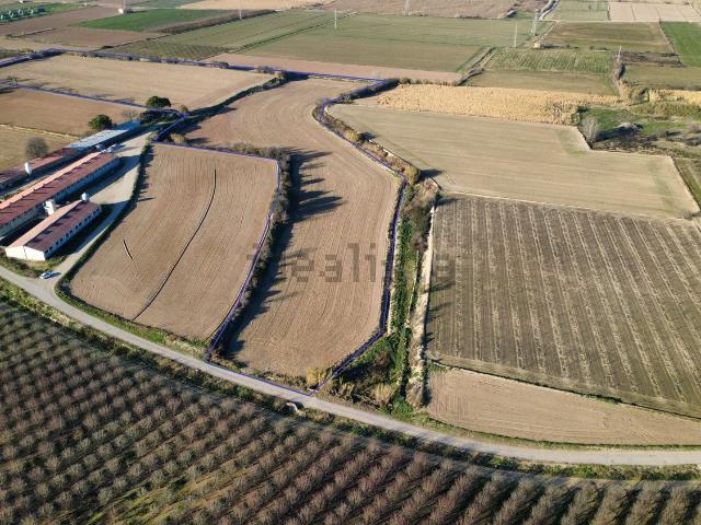Terreno, Castelldans