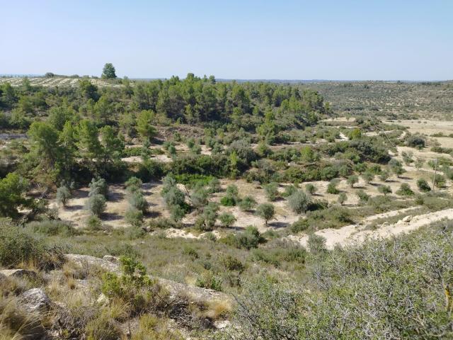 Terreno, Castelldans