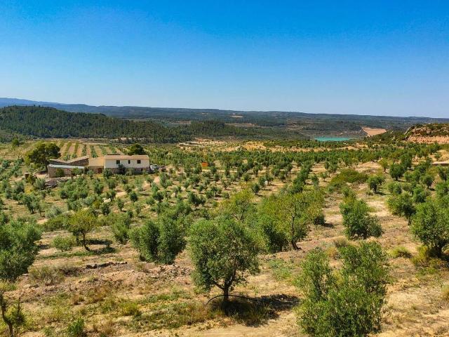 Terreno, Castelldans