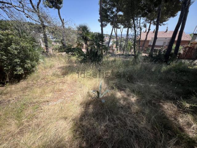 Terreno, Castelldefels