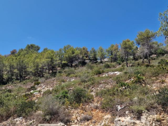 Terreno, Castellet i la Gornal