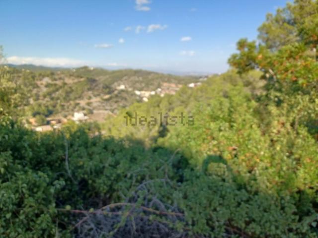 Terreno, Castellet i la Gornal