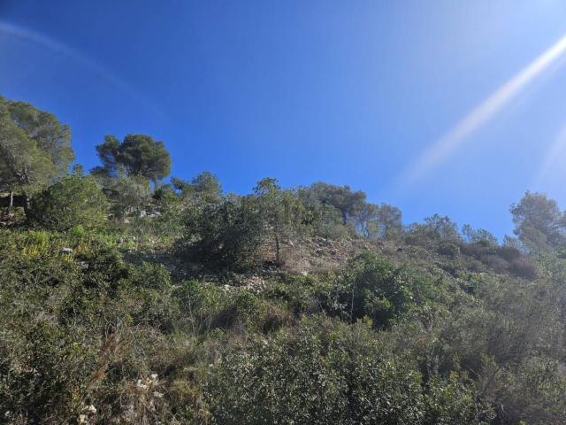 Terreno, Castellet i la Gornal