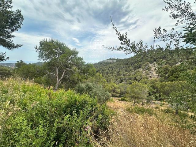 Terreno, Castellet i la Gornal