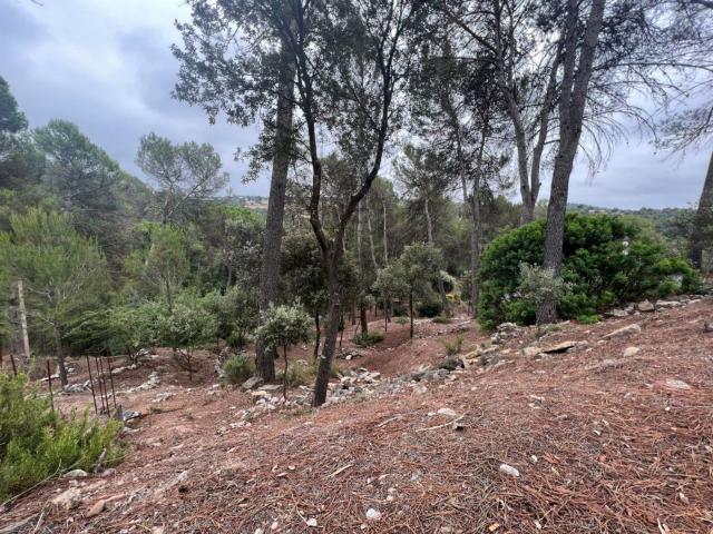 Terreno, Castellnou de Bages