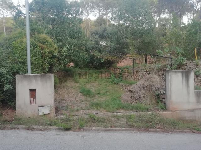 Terreno, Castellnou de Bages