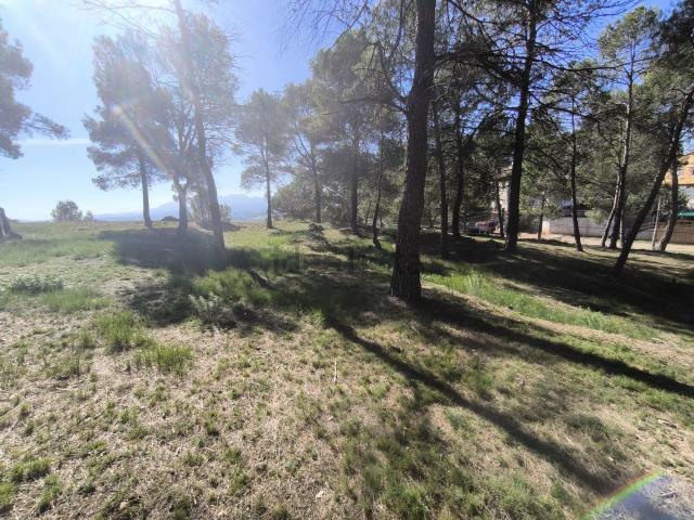Terreno, Castellnou de Bages