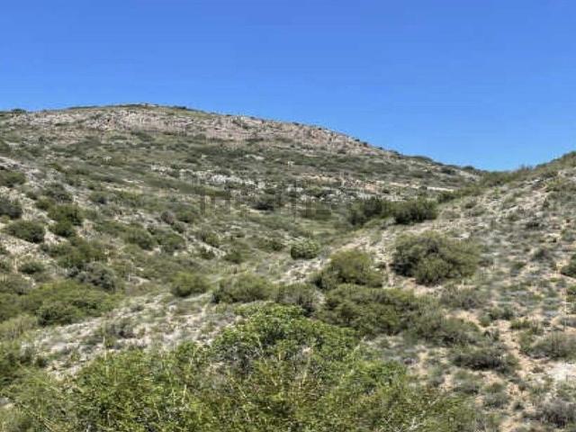 Terreno, Castillonroy