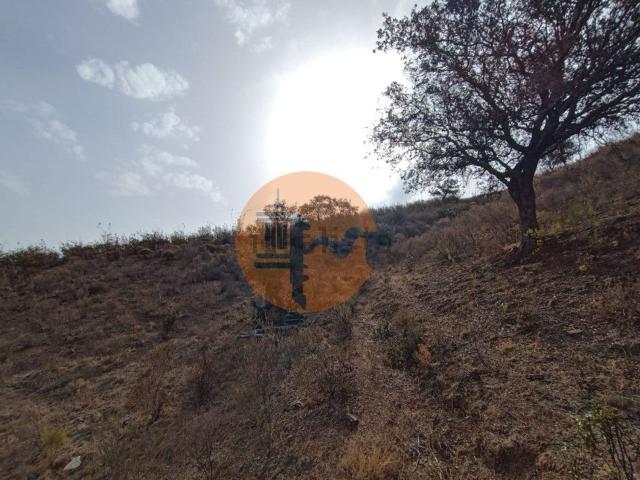 Terreno, Castro Marim