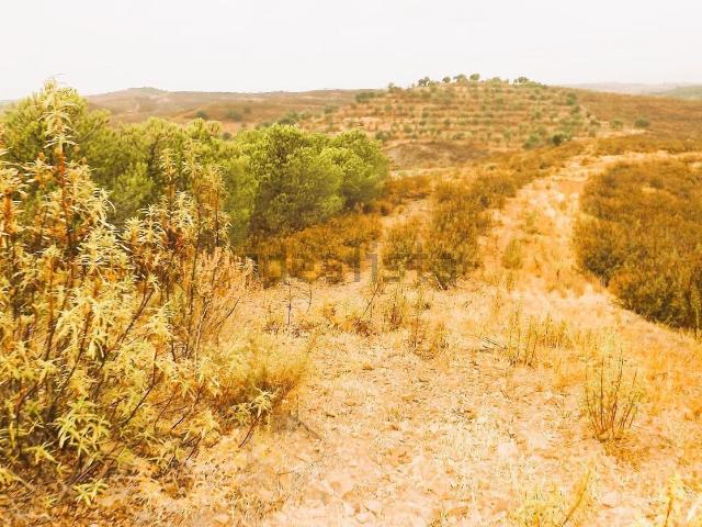 Terreno, Castro Marim